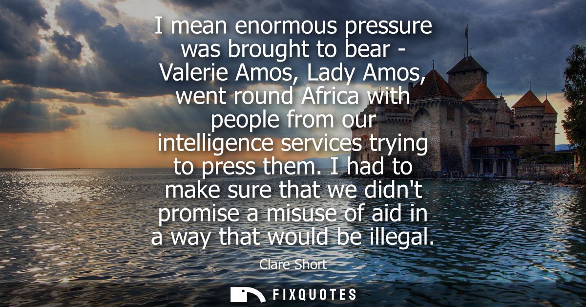 I mean enormous pressure was brought to bear - Valerie Amos, Lady Amos, went round Africa with people from our intellige