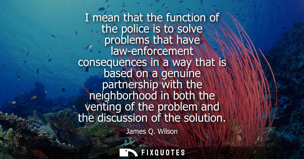I mean that the function of the police is to solve problems that have law-enforcement consequences in a way that is base