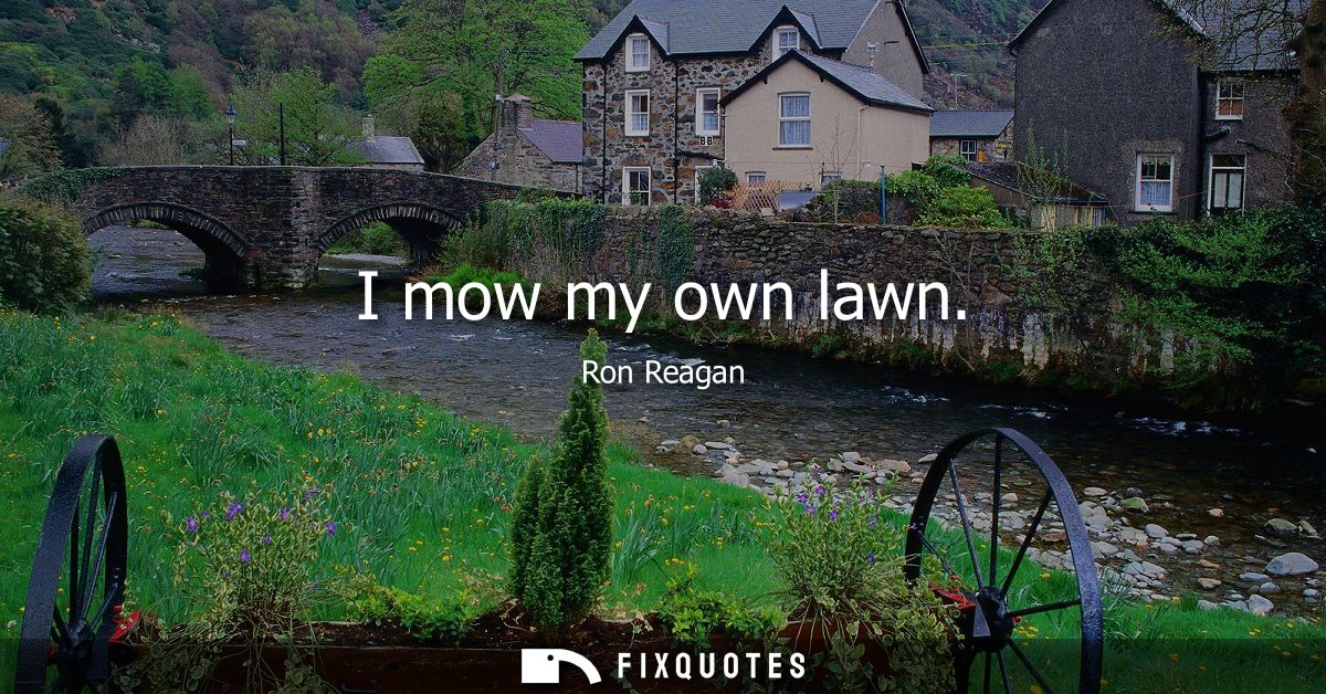 I mow my own lawn