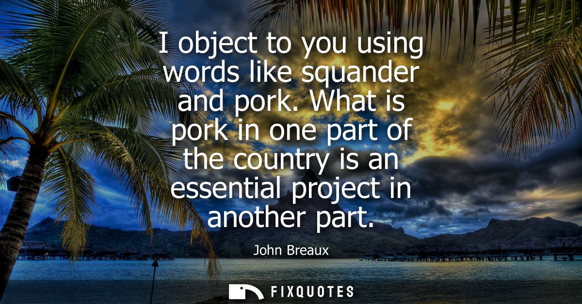 I object to you using words like squander and pork. What is pork in one part of the country is an essential project in a