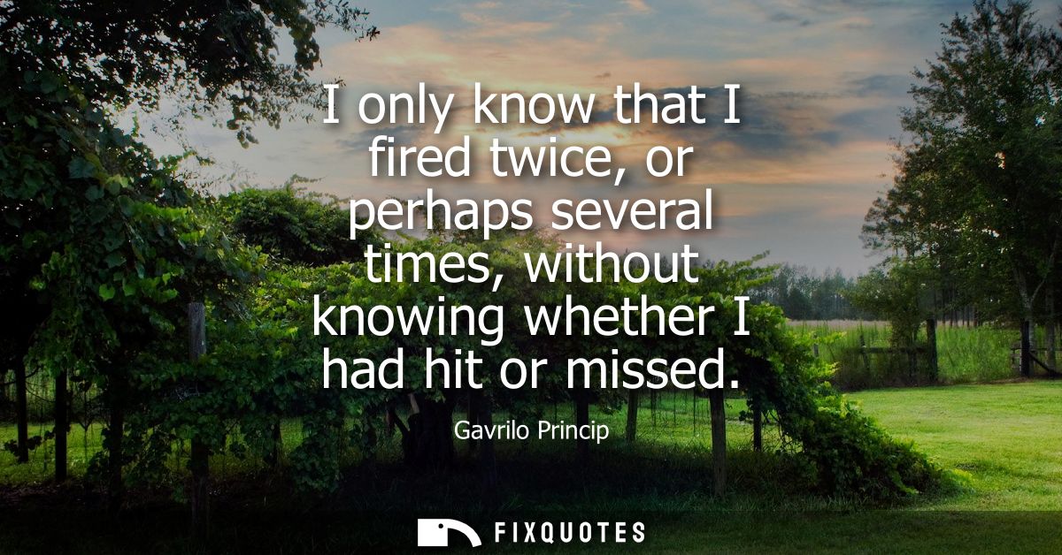 I only know that I fired twice, or perhaps several times, without knowing whether I had hit or missed
