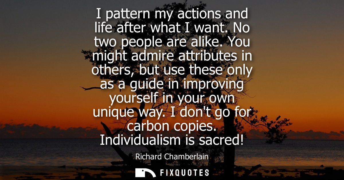 I pattern my actions and life after what I want. No two people are alike. You might admire attributes in others, but use