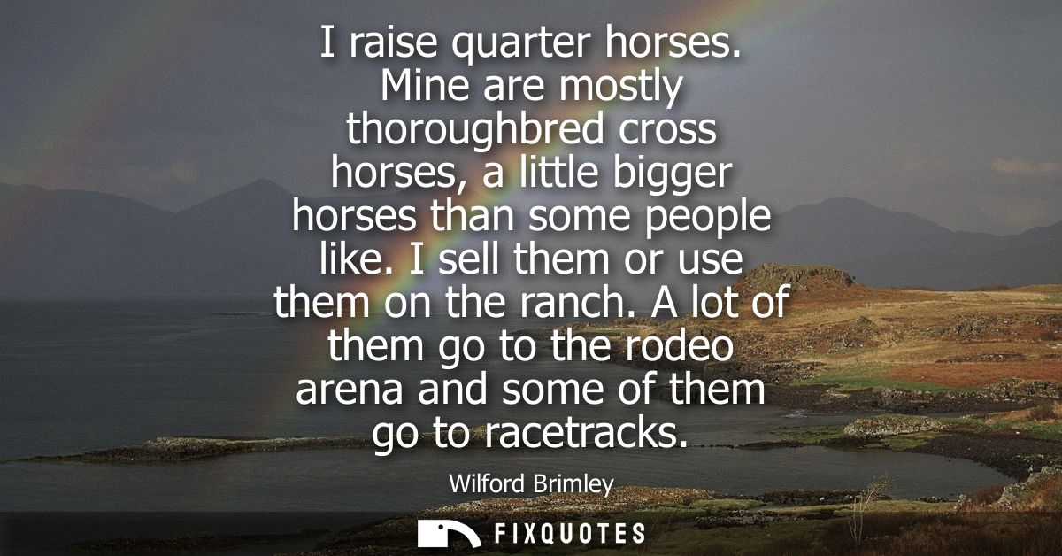 I raise quarter horses. Mine are mostly thoroughbred cross horses, a little bigger horses than some people like. I sell 