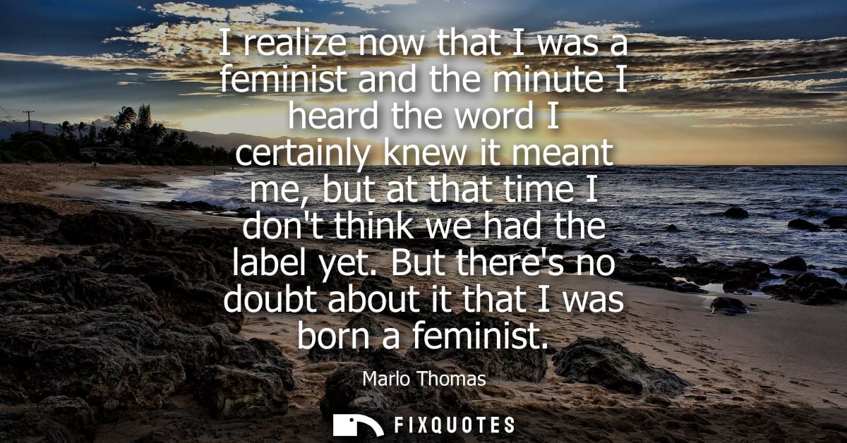 I realize now that I was a feminist and the minute I heard the word I certainly knew it meant me, but at that time I don