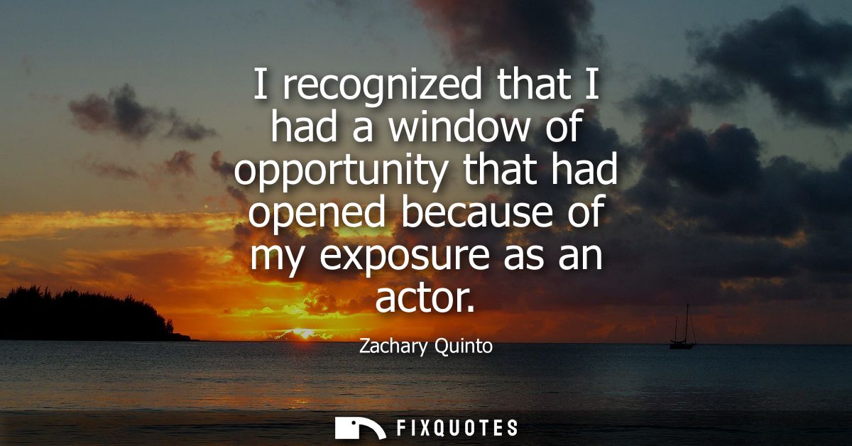 I recognized that I had a window of opportunity that had opened because of my exposure as an actor