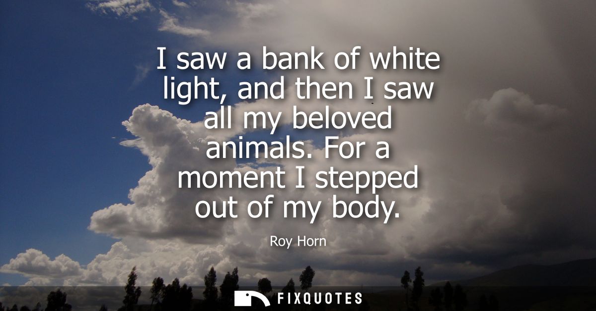 I saw a bank of white light, and then I saw all my beloved animals. For a moment I stepped out of my body