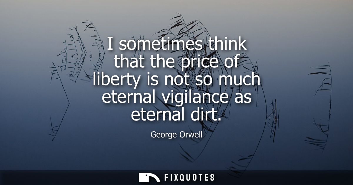 I sometimes think that the price of liberty is not so much eternal vigilance as eternal dirt