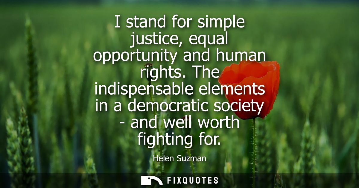 I stand for simple justice, equal opportunity and human rights. The indispensable elements in a democratic society - and