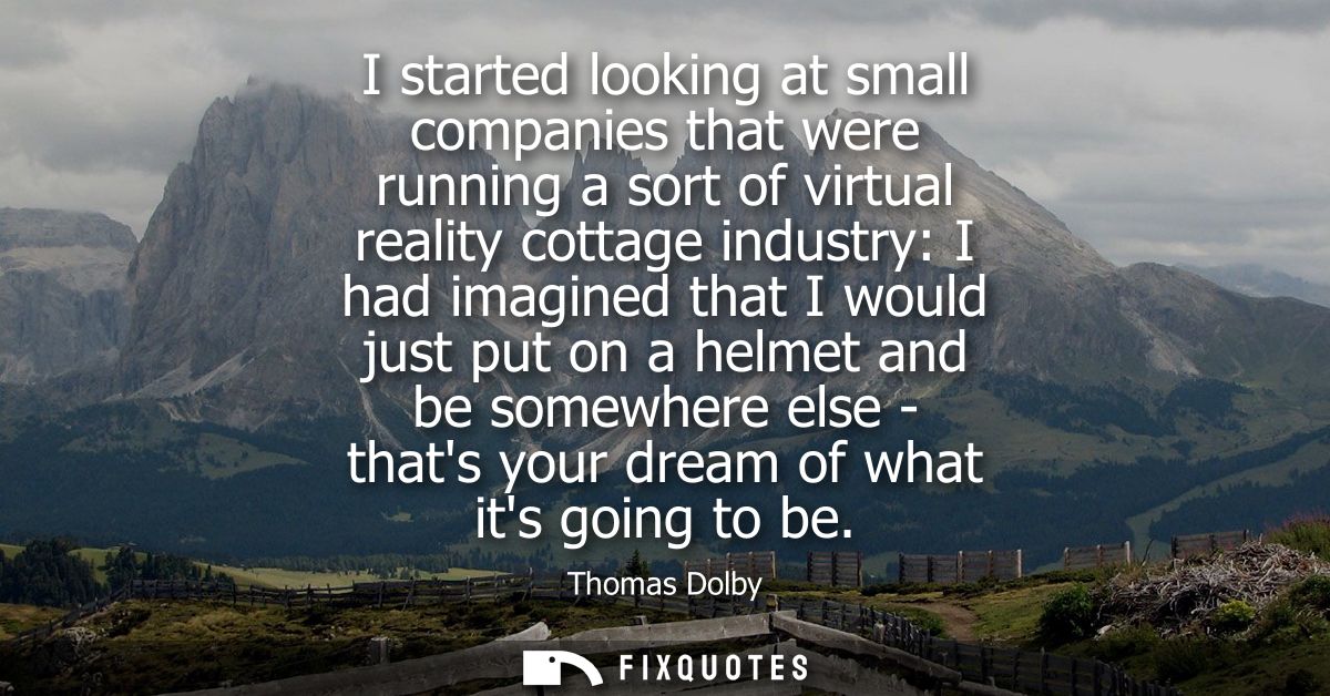 I started looking at small companies that were running a sort of virtual reality cottage industry: I had imagined that I