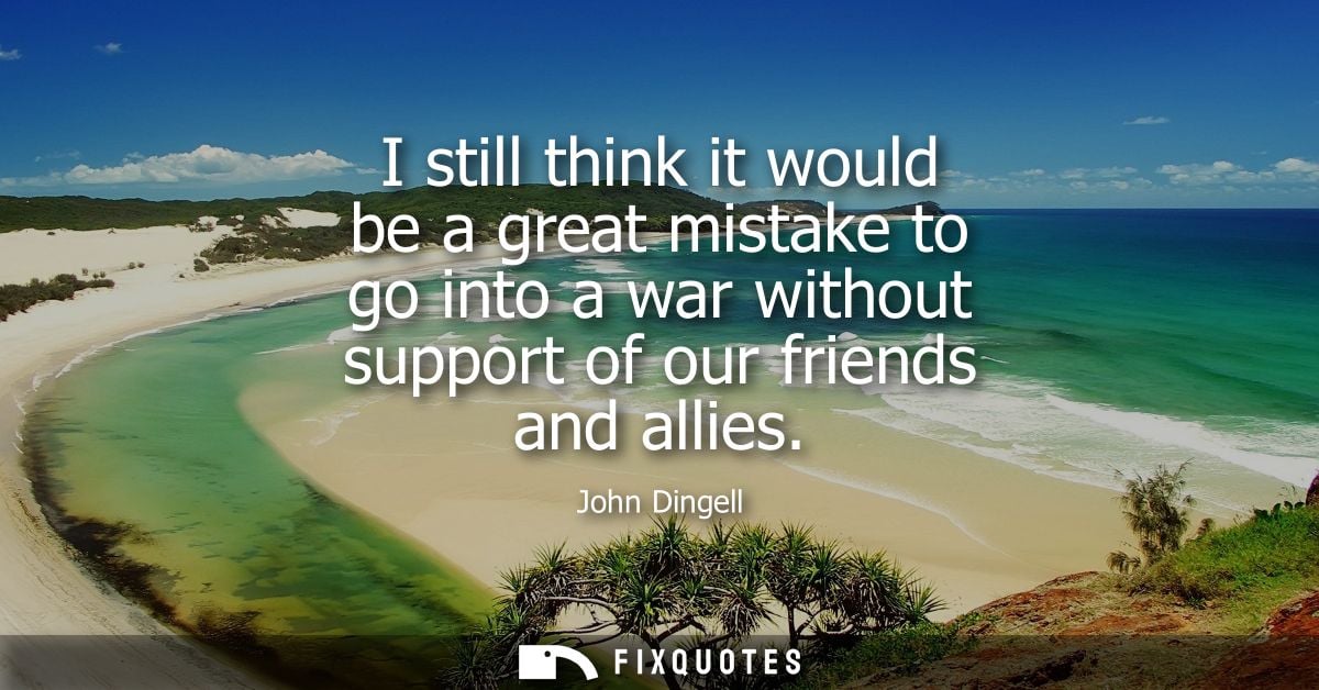 I still think it would be a great mistake to go into a war without support of our friends and allies