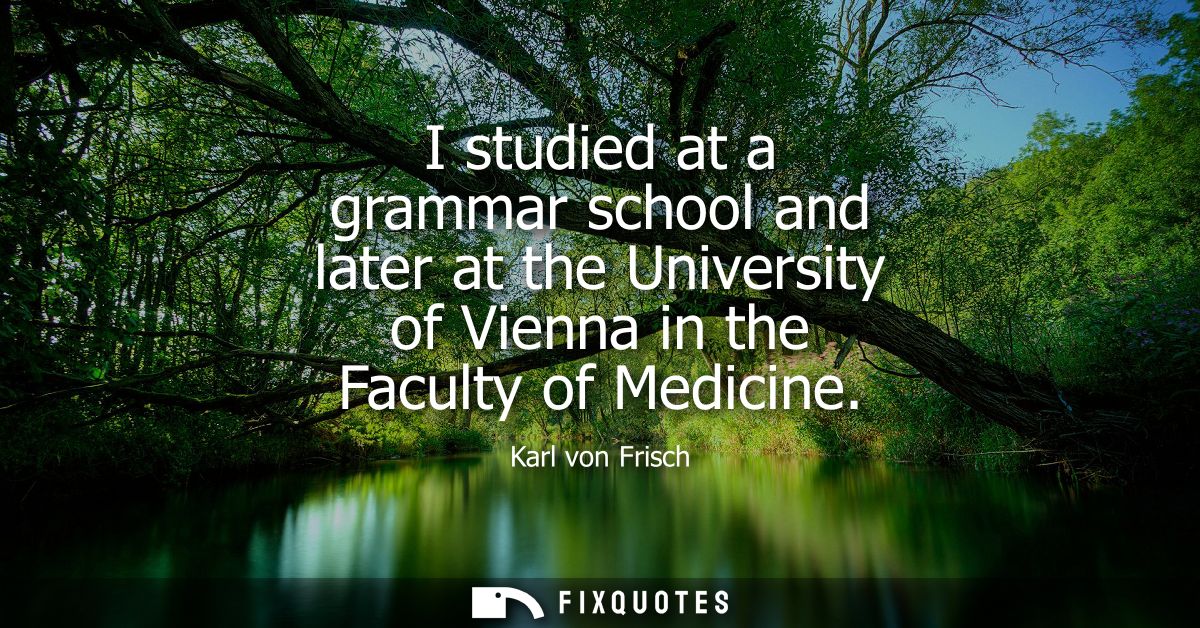I studied at a grammar school and later at the University of Vienna in the Faculty of Medicine