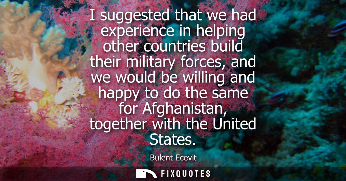 I suggested that we had experience in helping other countries build their military forces, and we would be willing and h