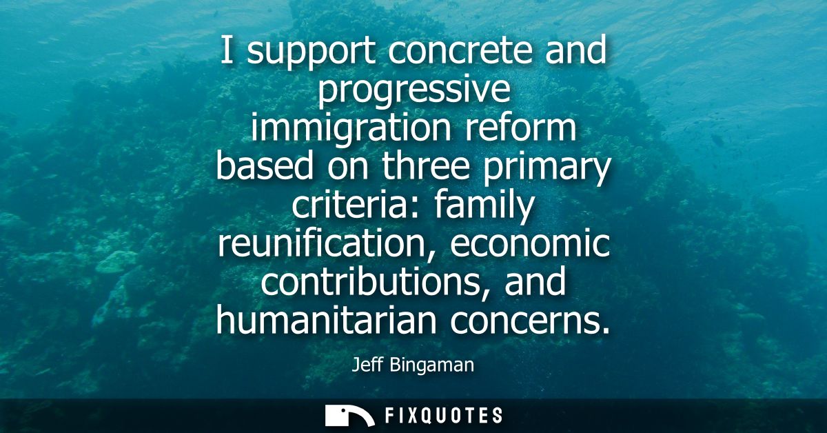 I support concrete and progressive immigration reform based on three primary criteria: family reunification, economic co