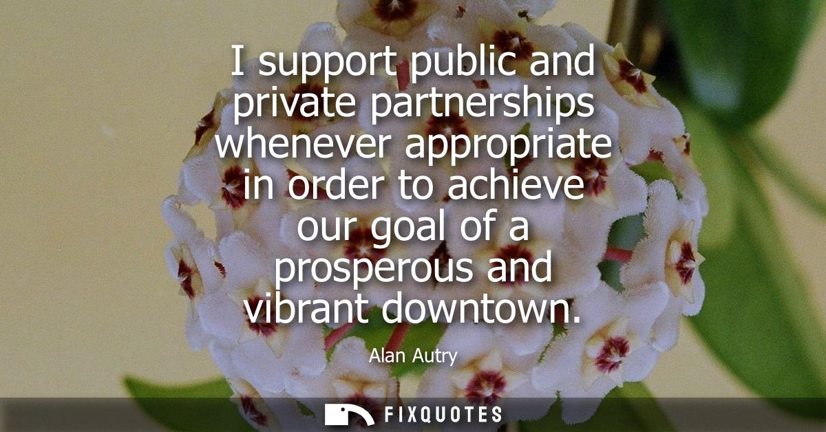 I support public and private partnerships whenever appropriate in order to achieve our goal of a prosperous and vibrant 
