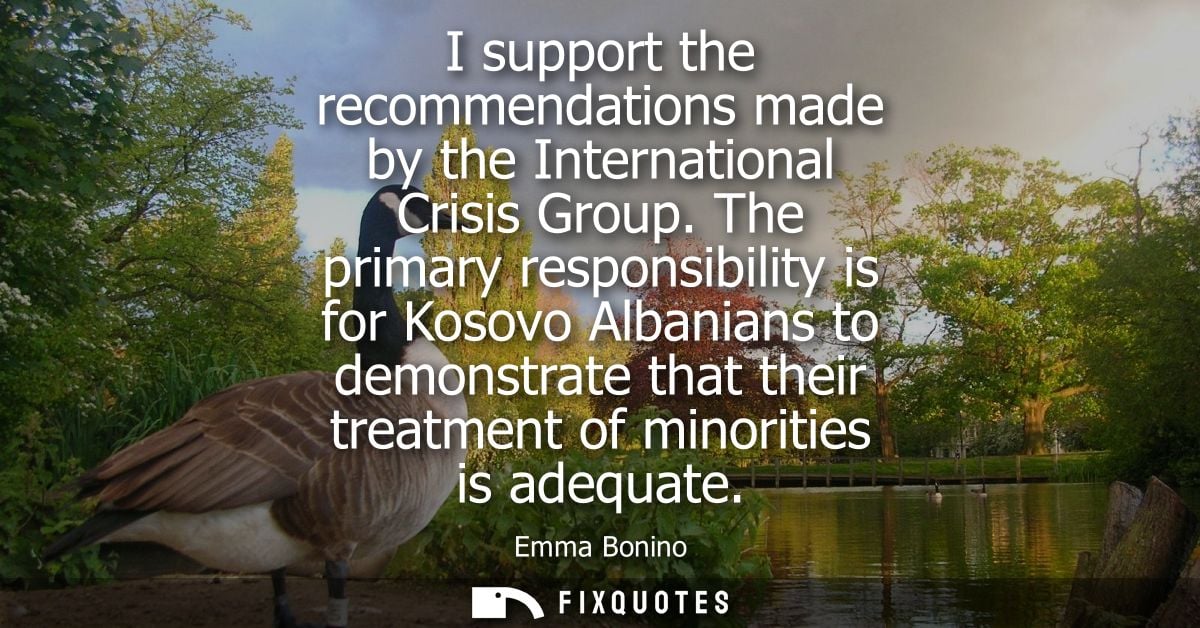 I support the recommendations made by the International Crisis Group. The primary responsibility is for Kosovo Albanians