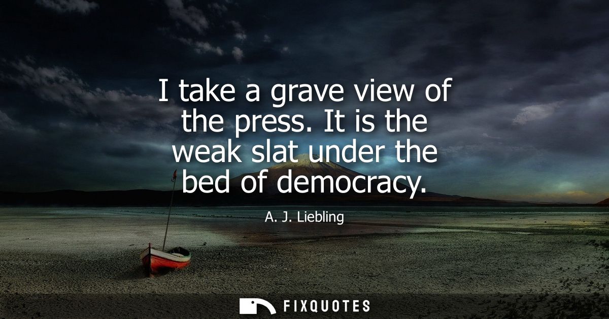 I take a grave view of the press. It is the weak slat under the bed of democracy