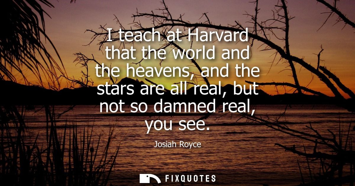 I teach at Harvard that the world and the heavens, and the stars are all real, but not so damned real, you see
