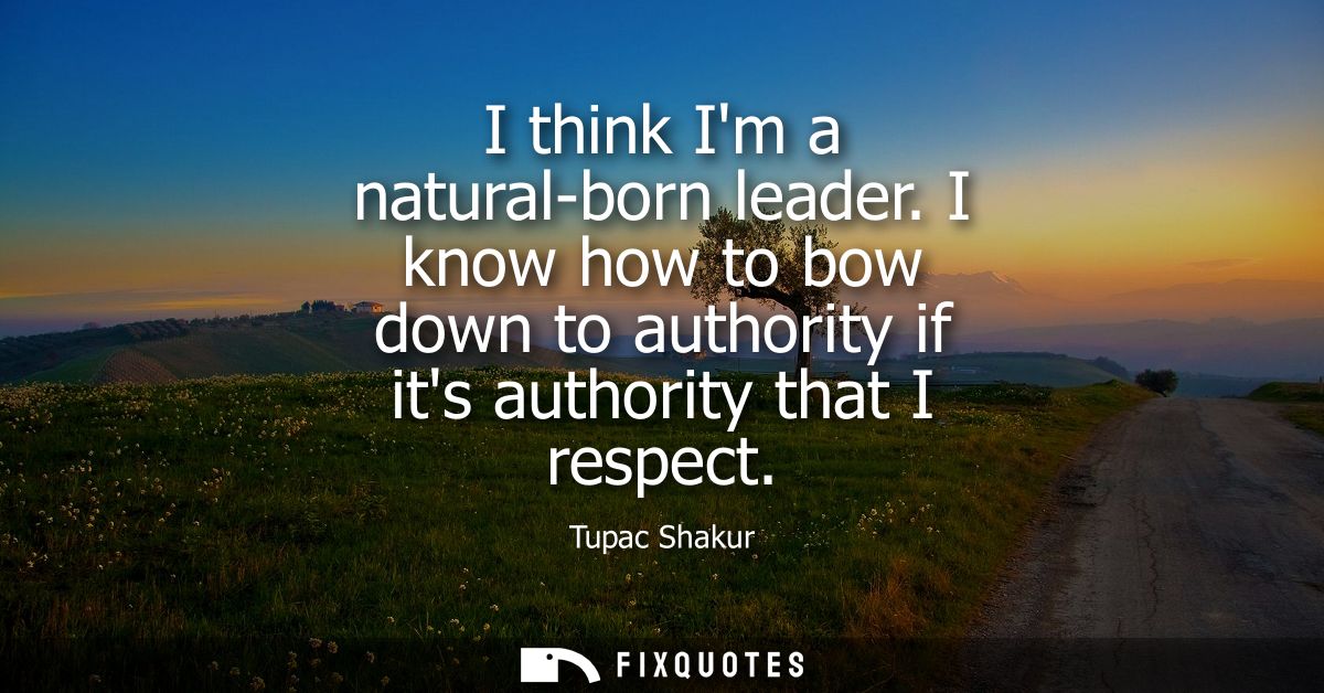 I think Im a natural-born leader. I know how to bow down to authority if its authority that I respect