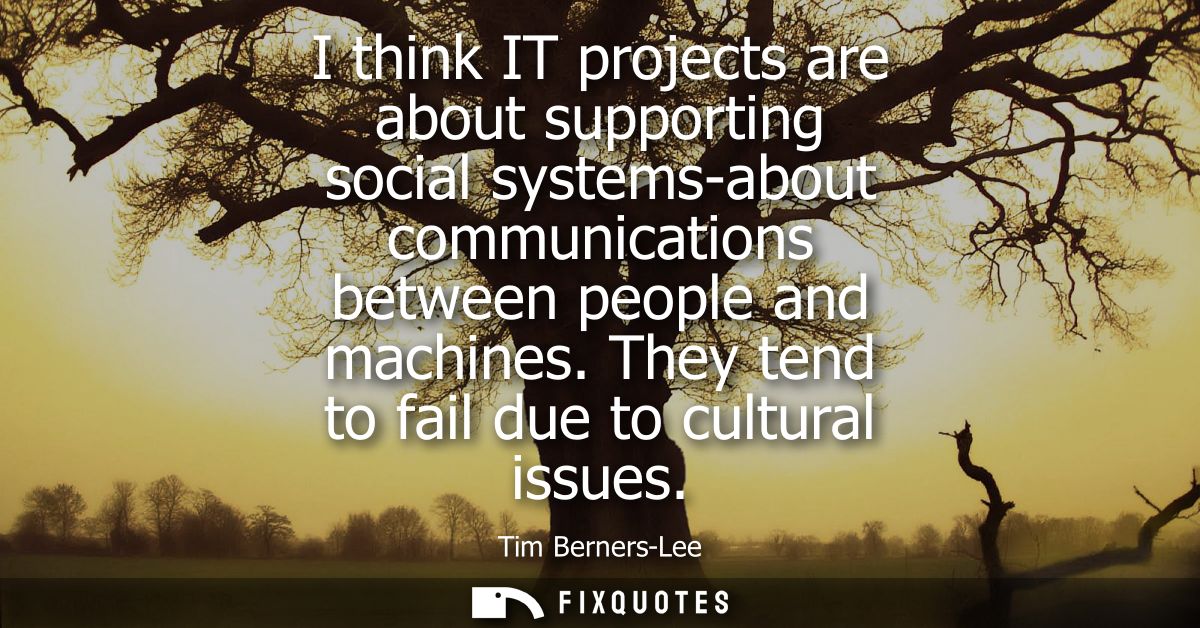 I think IT projects are about supporting social systems-about communications between people and machines. They tend to f