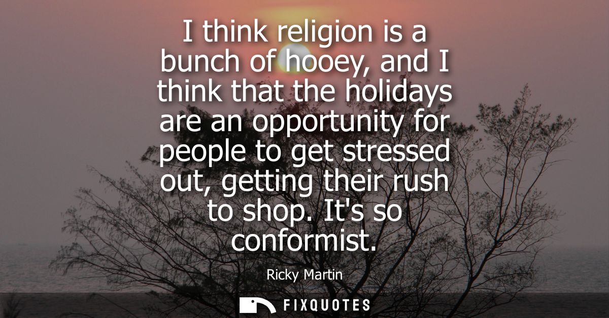 I think religion is a bunch of hooey, and I think that the holidays are an opportunity for people to get stressed out, g