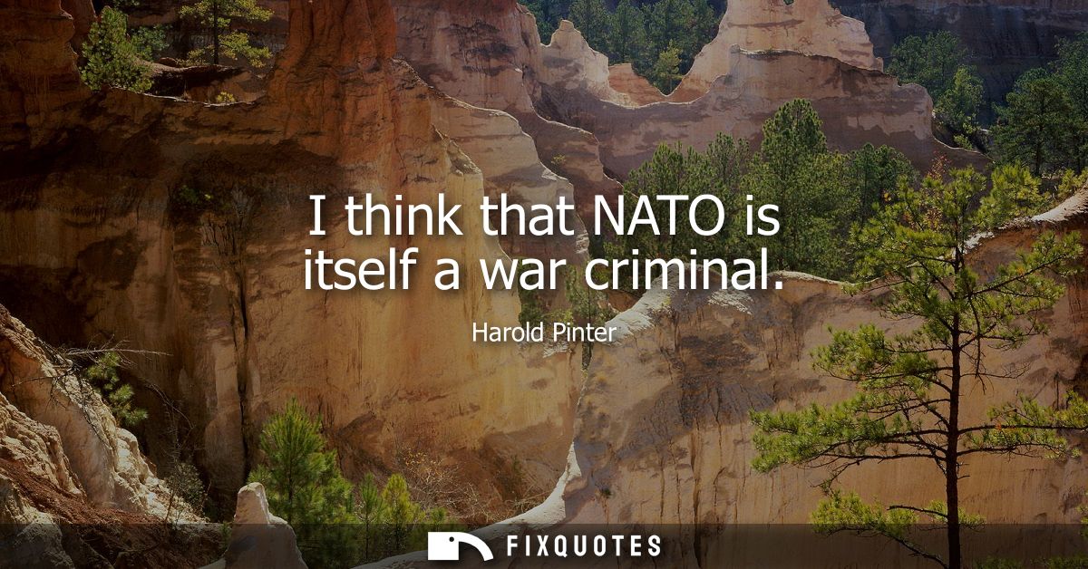 I think that NATO is itself a war criminal