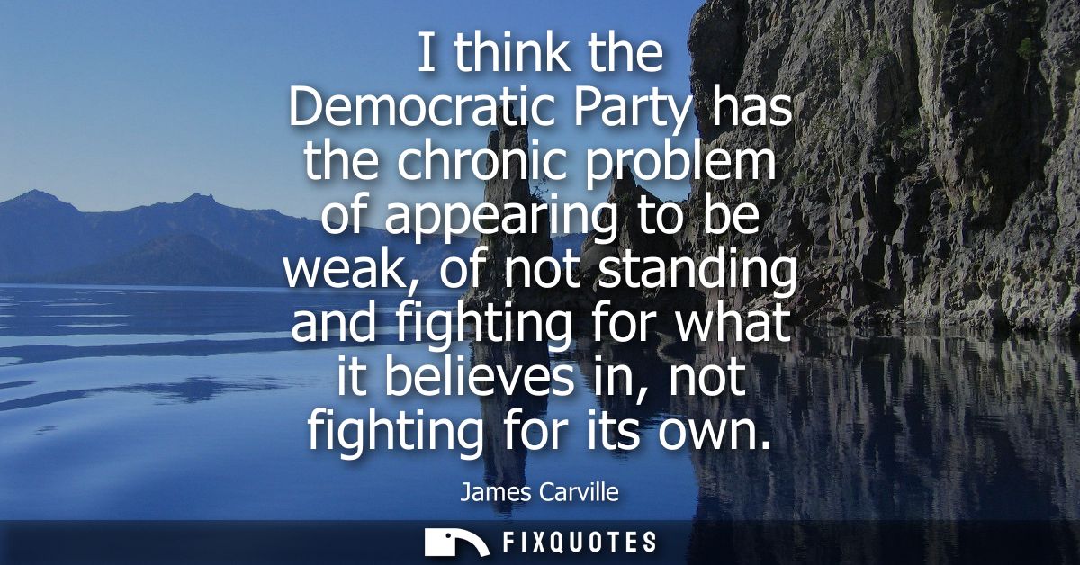 I think the Democratic Party has the chronic problem of appearing to be weak, of not standing and fighting for what it b