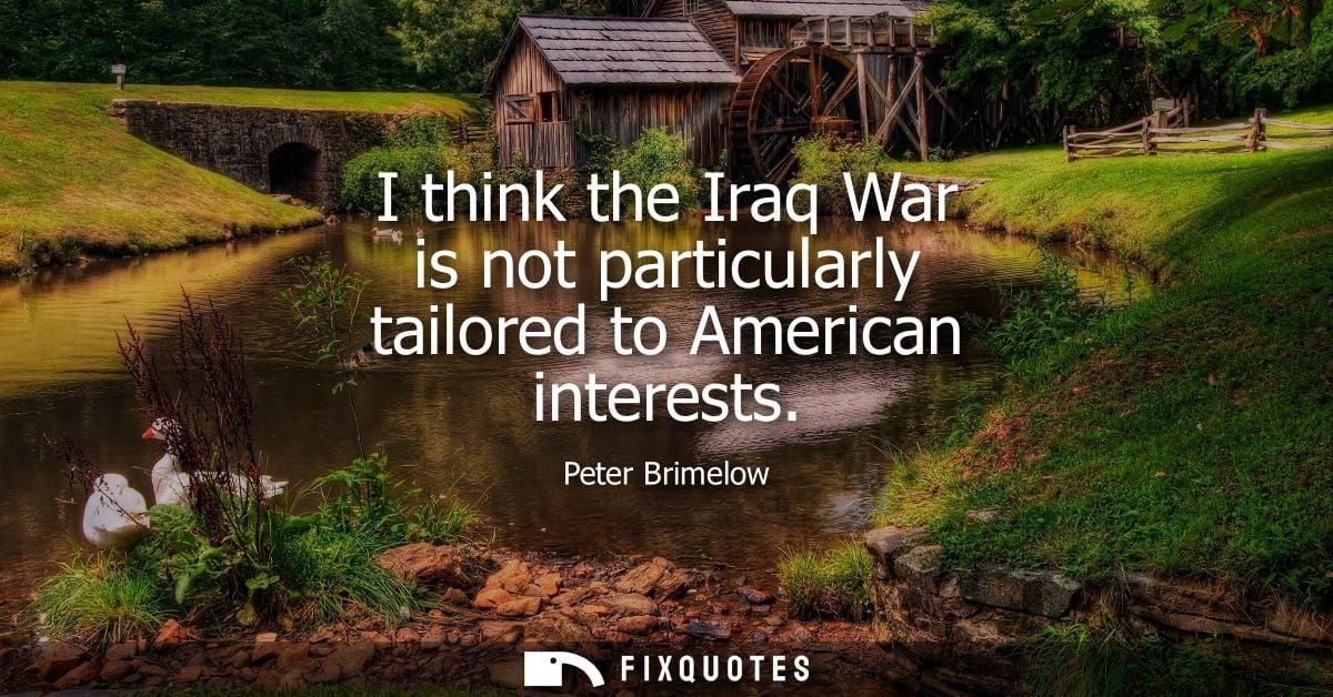 I think the Iraq War is not particularly tailored to American interests - Peter Brimelow