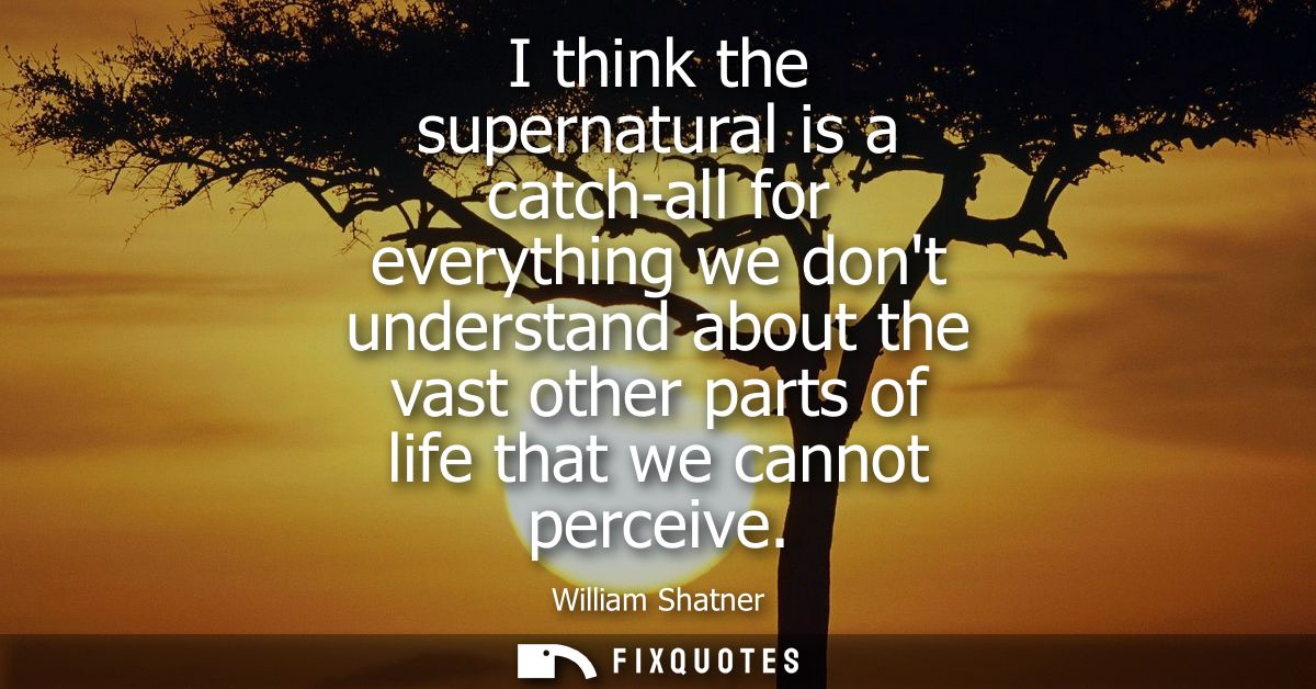 I think the supernatural is a catch-all for everything we dont understand about the vast other parts of life that we can