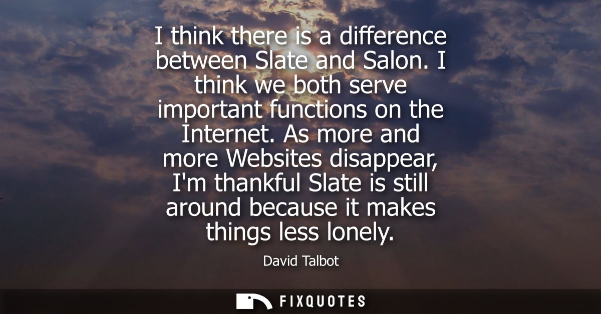 I think there is a difference between Slate and Salon. I think we both serve important functions on the Internet.