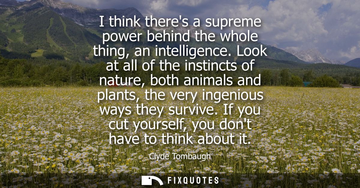 I think theres a supreme power behind the whole thing, an intelligence. Look at all of the instincts of nature, both ani