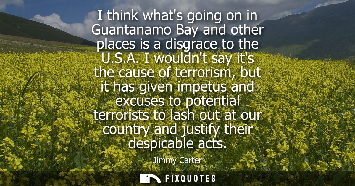 I think whats going on in Guantanamo Bay and other places is a disgrace to the U.S.A. I wouldnt say its the cause of ter