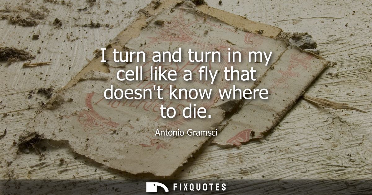 I turn and turn in my cell like a fly that doesnt know where to die