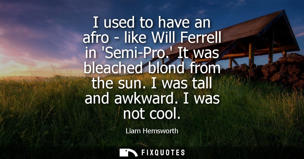 I used to have an afro - like Will Ferrell in Semi-Pro. It was bleached blond from the sun. I was tall and awkward. I wa