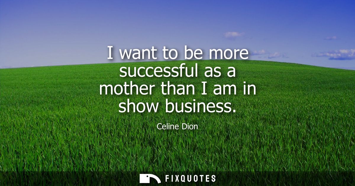 I want to be more successful as a mother than I am in show business