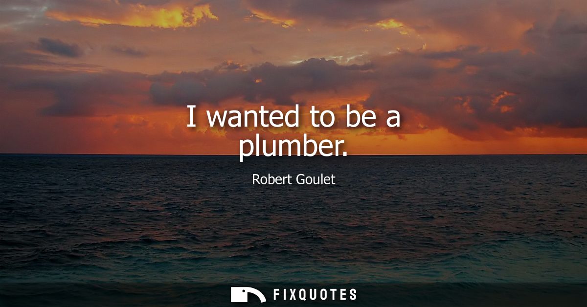 I wanted to be a plumber