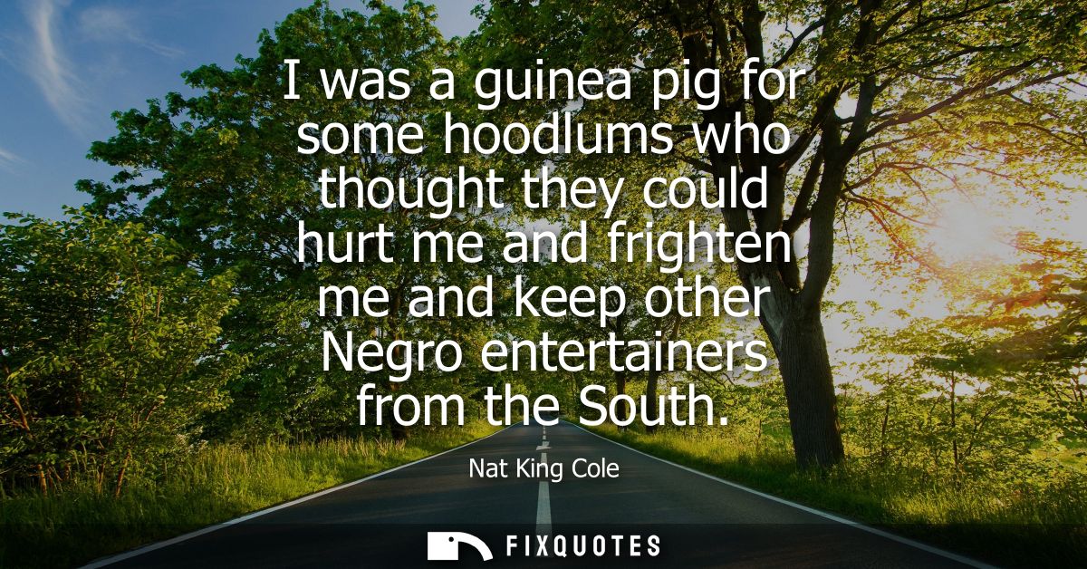 I was a guinea pig for some hoodlums who thought they could hurt me and frighten me and keep other Negro entertainers fr