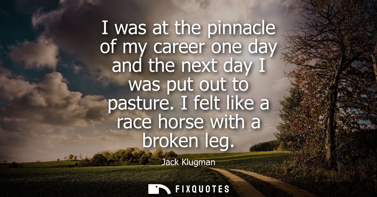 I was at the pinnacle of my career one day and the next day I was put out to pasture. I felt like a race horse with a br