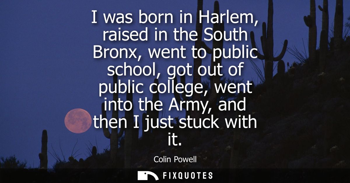 I was born in Harlem, raised in the South Bronx, went to public school, got out of public college, went into the Army, a