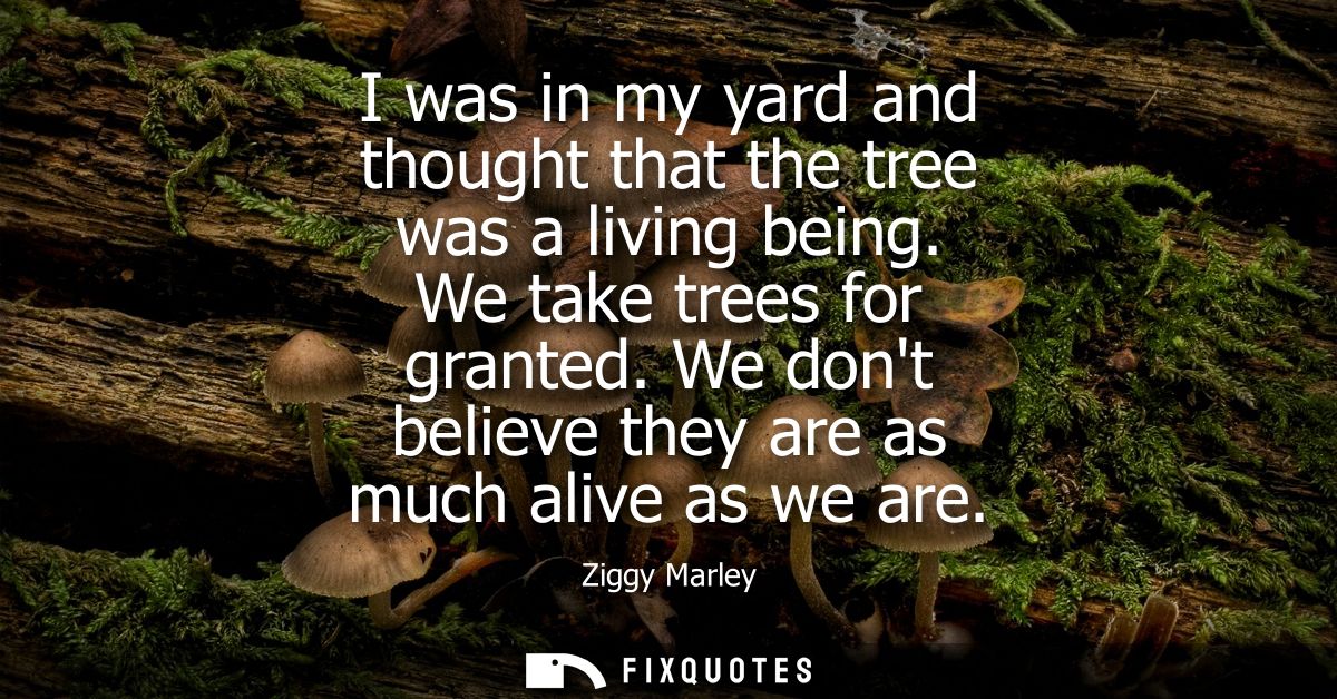 I was in my yard and thought that the tree was a living being. We take trees for granted. We dont believe they are as mu