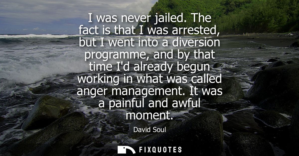 I was never jailed. The fact is that I was arrested, but I went into a diversion programme, and by that time Id already 
