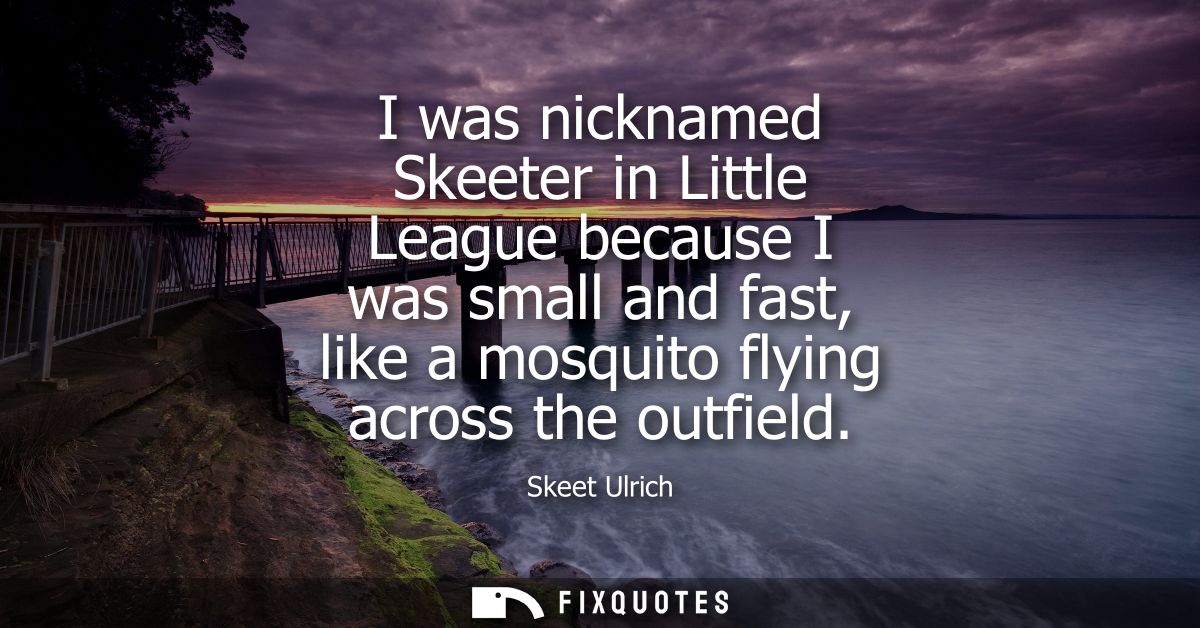 I was nicknamed Skeeter in Little League because I was small and fast, like a mosquito flying across the outfield