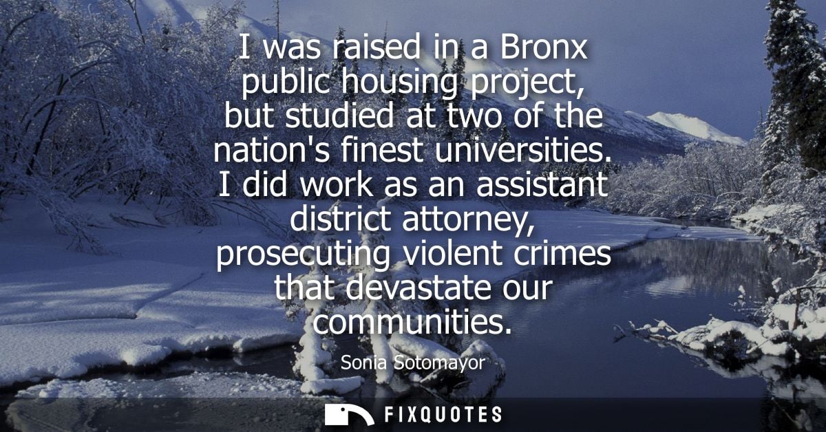 I was raised in a Bronx public housing project, but studied at two of the nations finest universities.