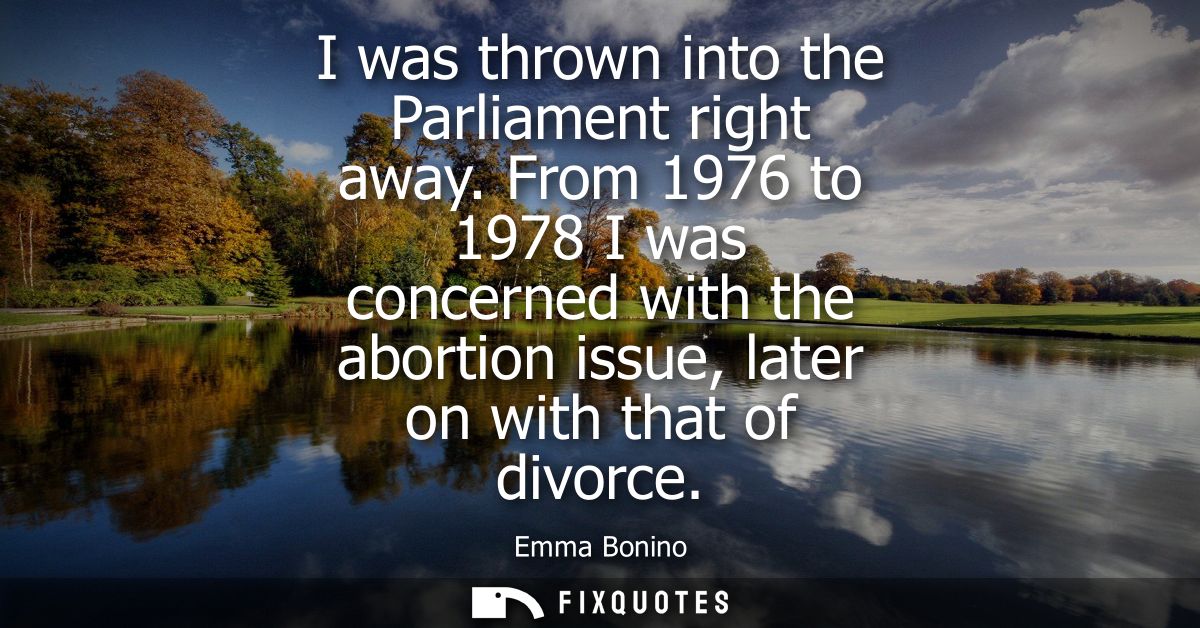 I was thrown into the Parliament right away. From 1976 to 1978 I was concerned with the abortion issue, later on with th