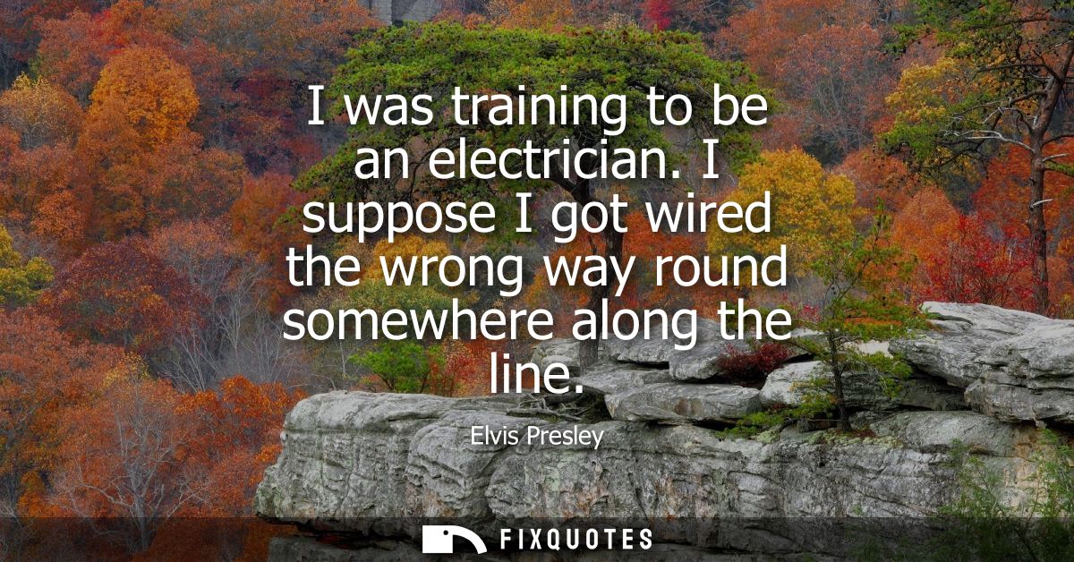 I was training to be an electrician. I suppose I got wired the wrong way round somewhere along the line