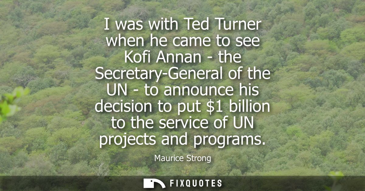 I was with Ted Turner when he came to see Kofi Annan - the Secretary-General of the UN - to announce his decision to put