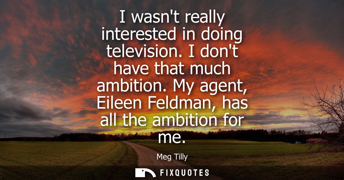 I wasnt really interested in doing television. I dont have that much ambition. My agent, Eileen Feldman, has all the amb