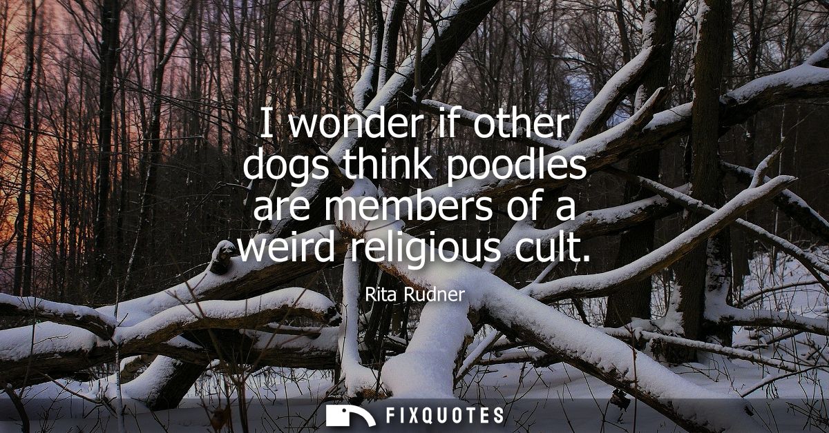 I wonder if other dogs think poodles are members of a weird religious cult