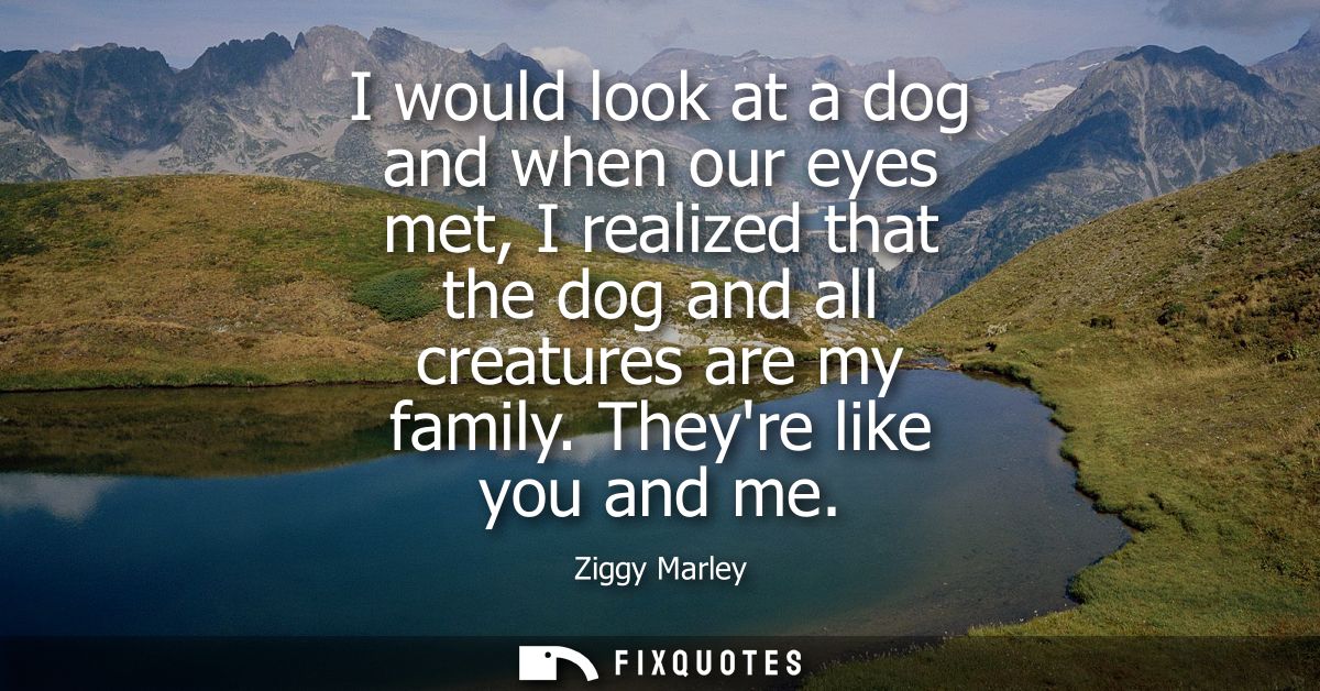 I would look at a dog and when our eyes met, I realized that the dog and all creatures are my family. Theyre like you an