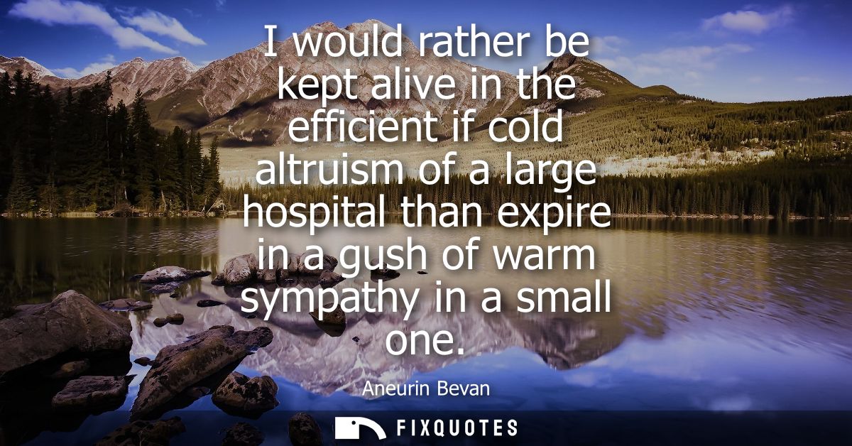 I would rather be kept alive in the efficient if cold altruism of a large hospital than expire in a gush of warm sympath