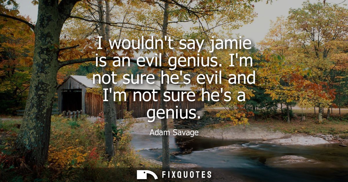 I wouldnt say jamie is an evil genius. Im not sure hes evil and Im not sure hes a genius